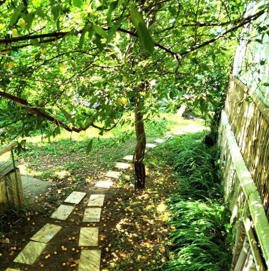 Hostel Eco Чакві Екстер'єр фото